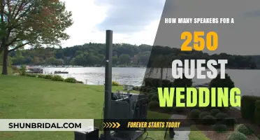 Choosing the Right Number of Speakers for a 250-Guest Wedding
