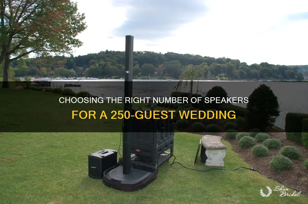 how many speakers for a 250 guest wedding