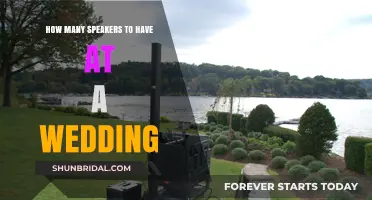 Perfect Wedding Speaker Lineup: Tips for Choosing the Right Number
