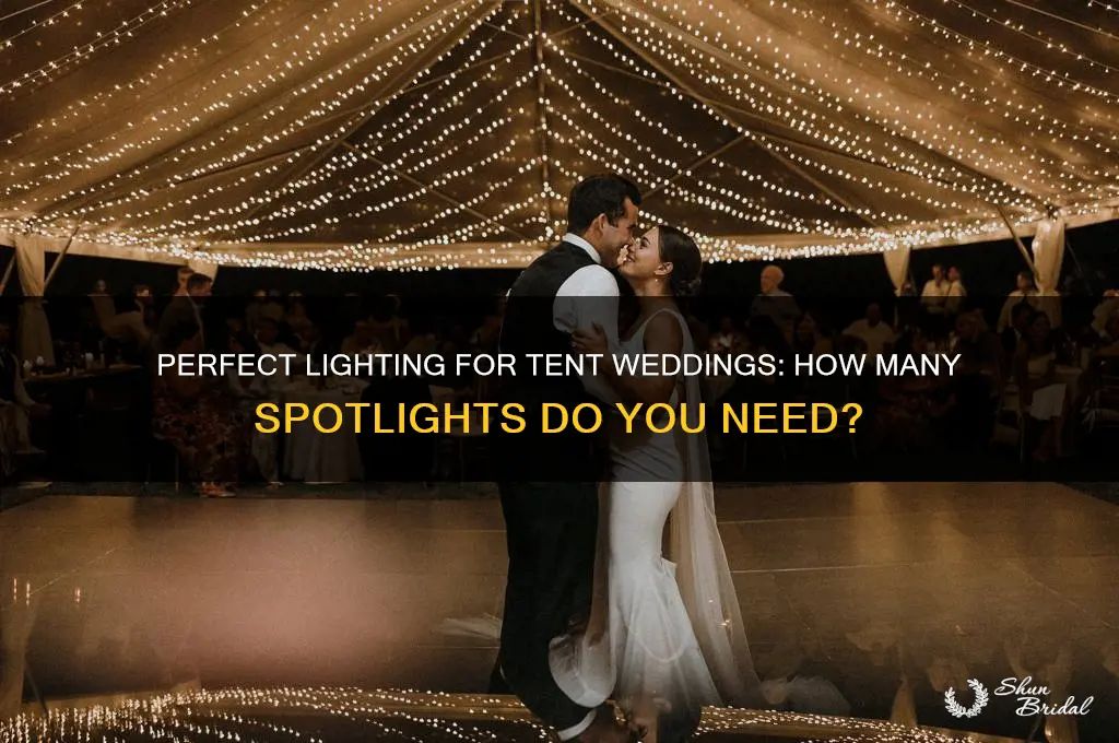 how many spot lights tent wedding