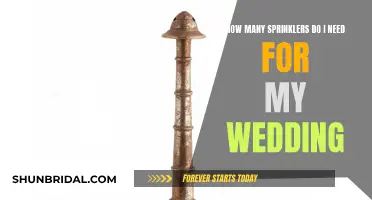 A Guide to Wedding Sprinklers: Quantity and Quality