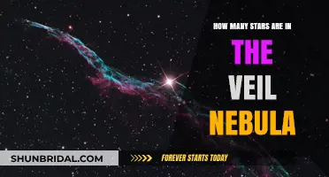 Unveiling the Veil Nebula: Counting Its Stars and Cosmic Secrets