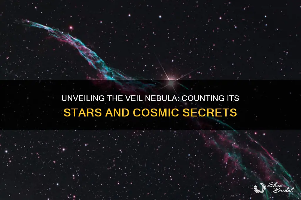 how many stars are in the veil nebula