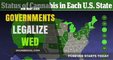 Legalizing Weed: Tracking State Government Legalization Across the U.S