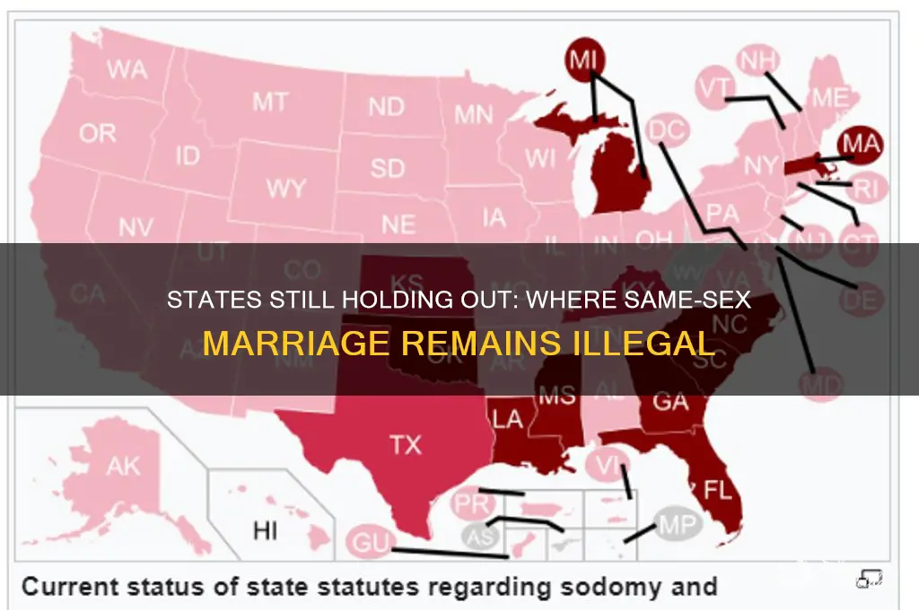 how many states havent legalized wed