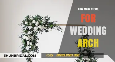 Choosing the Perfect Number of Stems for Your Dream Wedding Arch