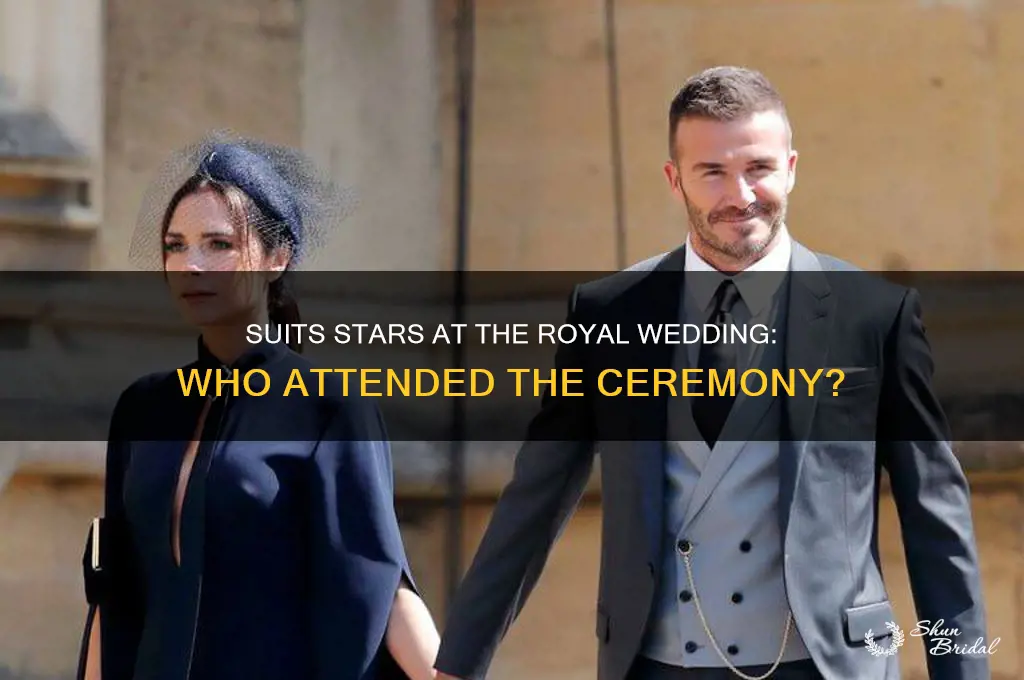 how many suits actors attended the royal wedding