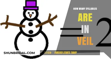 Unveiling the Mystery: Counting Syllables in the Word 'Veil