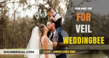 Understanding Veil Tiers: A Comprehensive Guide for Weddingbee Brides
