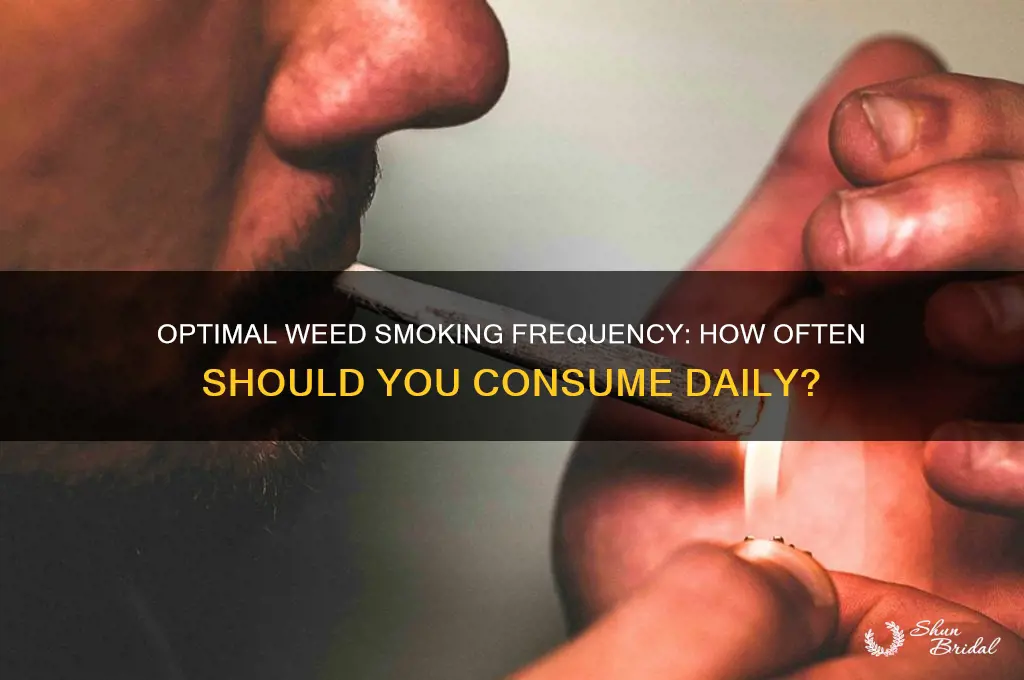 how many times a day shoudl you smoe wed