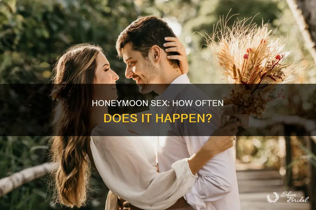 how many times did you have sex on your honeymoon