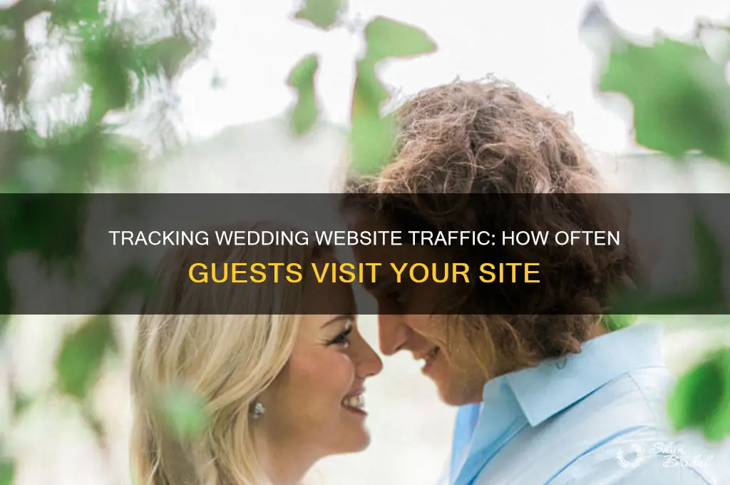 how many times have people visited my wedding website