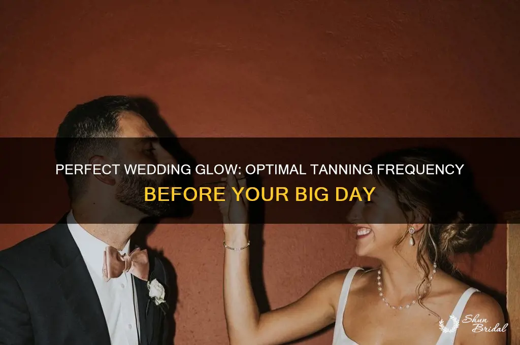 how many times should I go tanning before wedding
