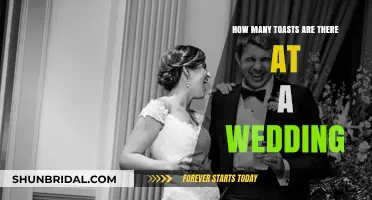 Wedding Toasts Unveiled: A Guide to the Number and Traditions
