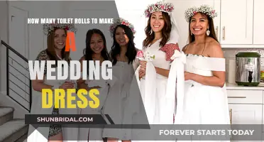 Toilet Roll Wedding Dress: How Many Rolls Are Needed?