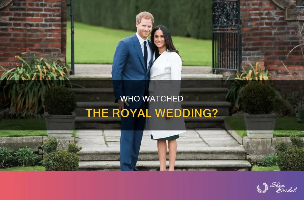 how many tuned into prince harry and megan markles wedding