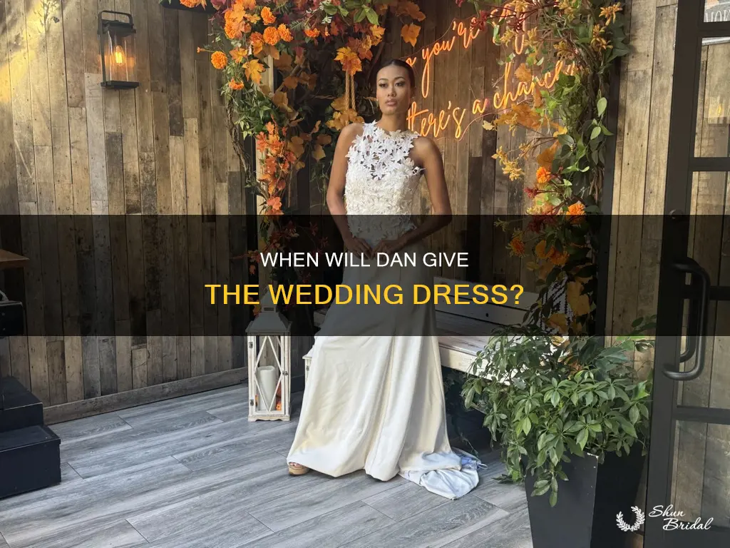 how many turns until dan gives wedding dress