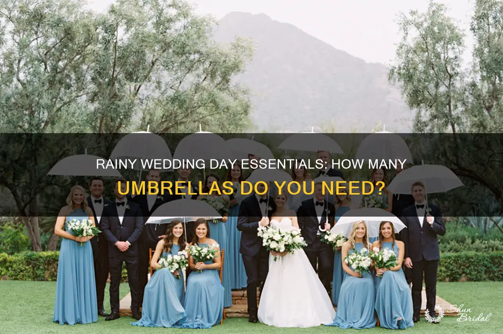 how many umbrellaa if wedding rain