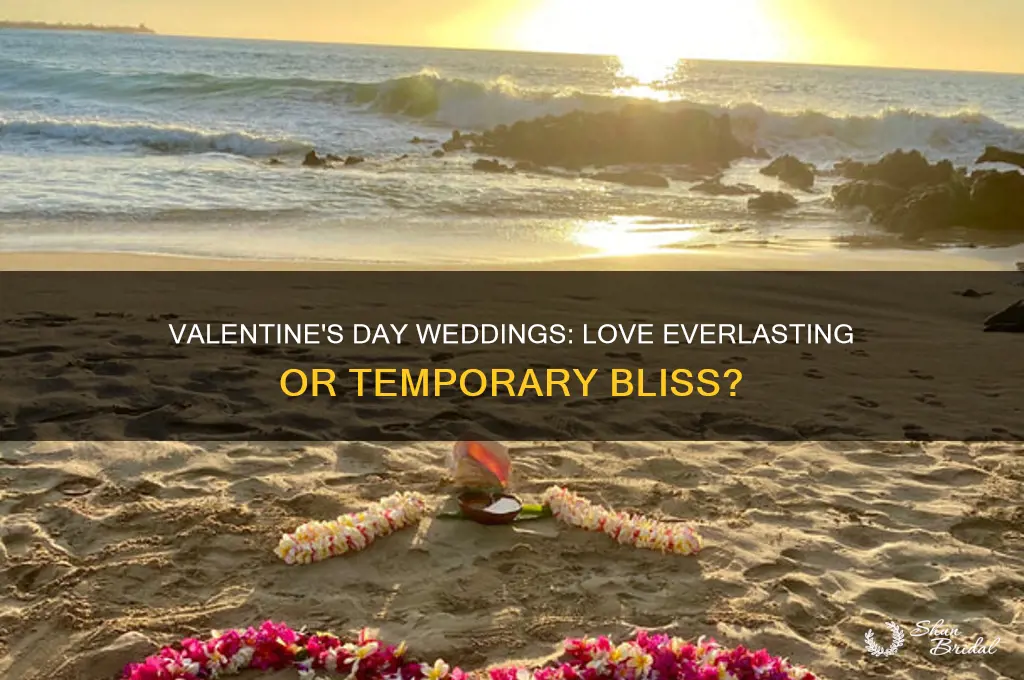 how many valentines day weddings end in divorce