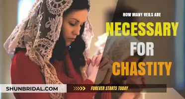 Exploring Chastity: The Role and Necessity of Veils in Modesty