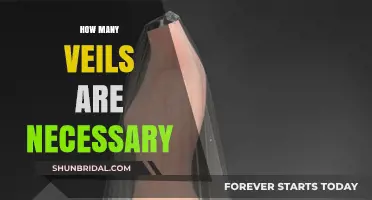 Unveiling the Mystery: How Many Veils Are Truly Necessary?