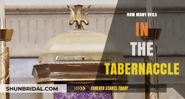 Unveiling the Tabernacle's Veils: Exploring Their Number and Significance