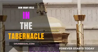 Exploring the Tabernacle's Veils: Unveiling Their Number and Significance