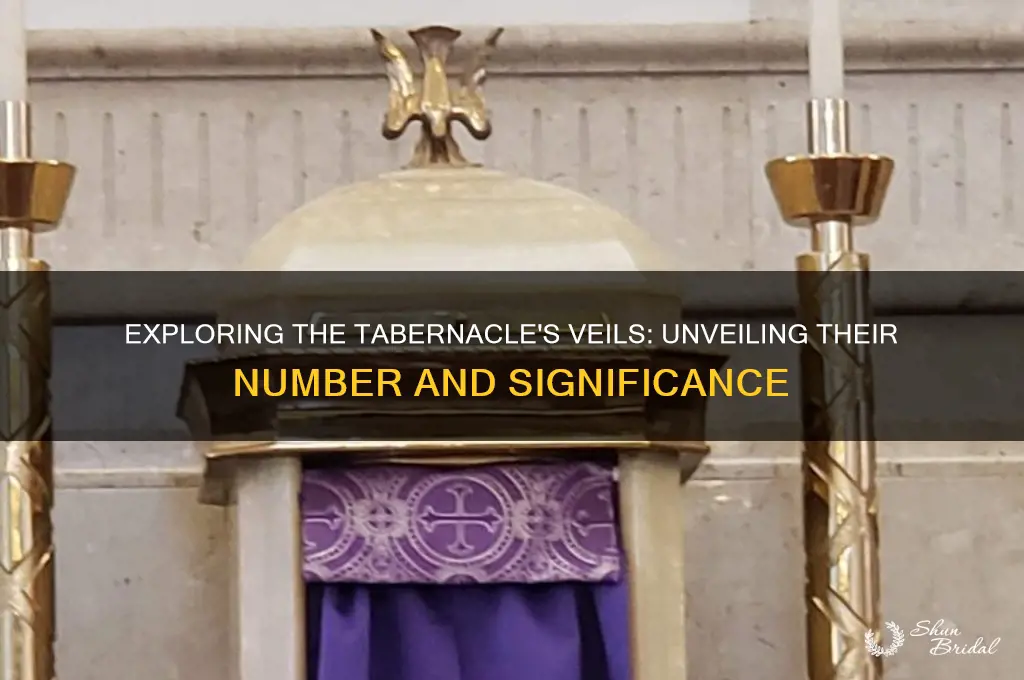 how many veils in the tabernacle