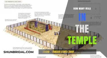 Unveiling the Mystery: Exploring the Number of Veils in the Temple