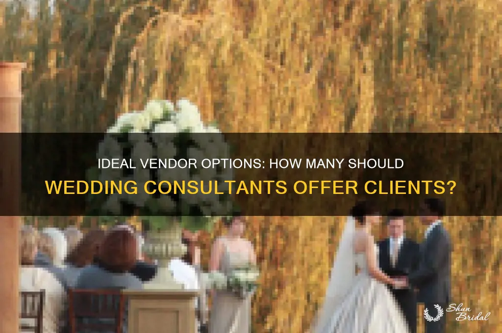 how many vendors should consultants present wedding clients with