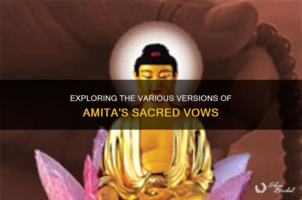 how many versions of amita