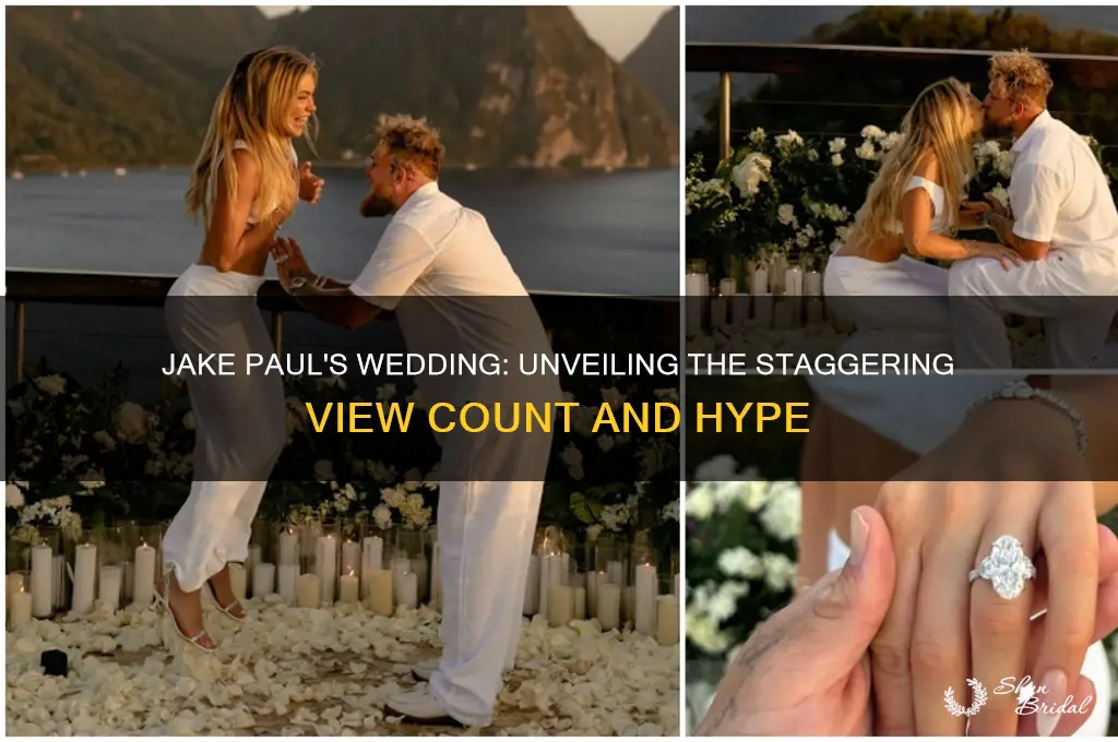 how many views did jake pauls wedding have