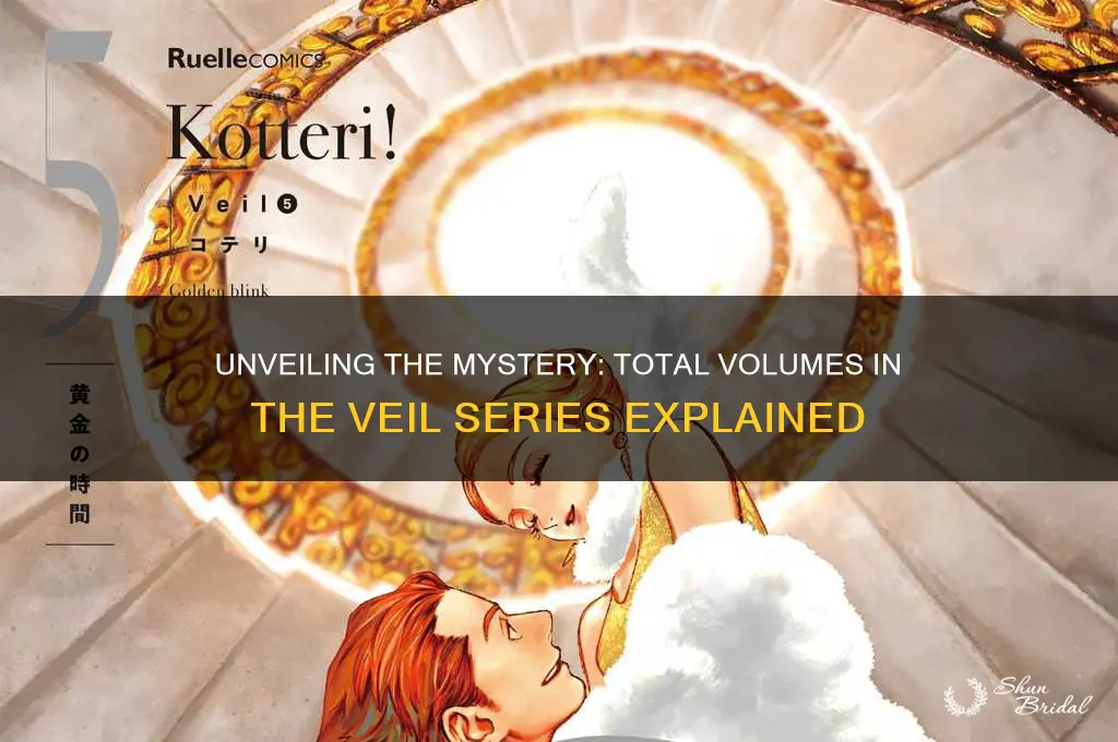 how many volumes does veil have