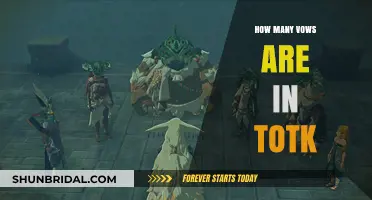 Exploring the Number of Vows in The Legend of Zelda: Tears of the Kingdom