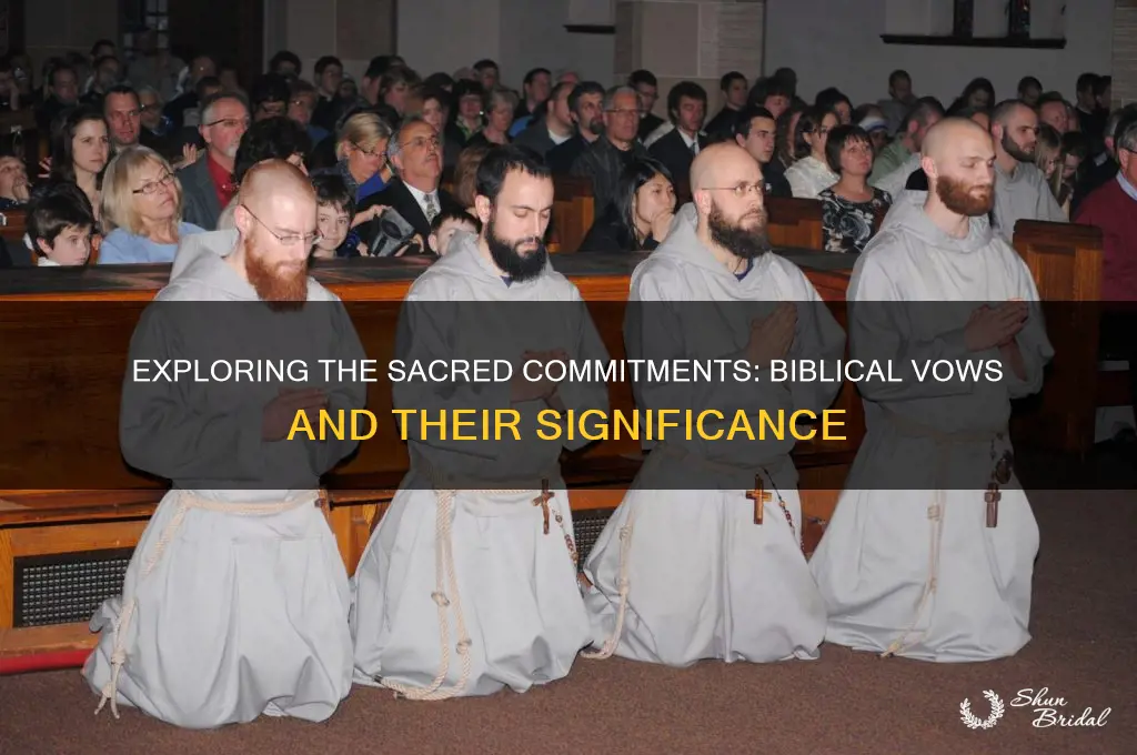 how many vows were made in the bible