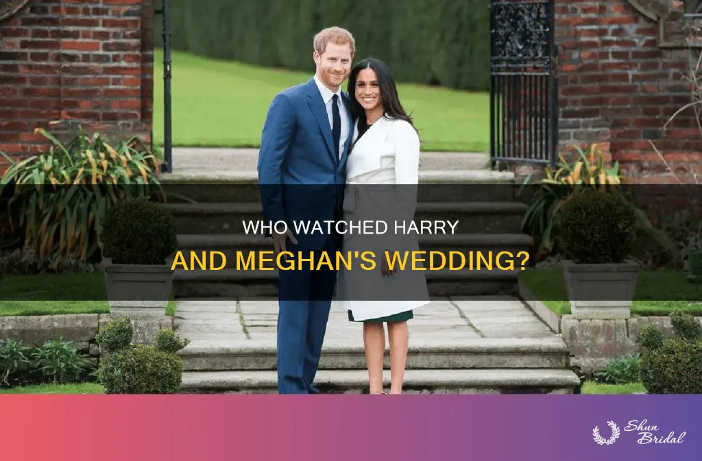 how many watched harry and megan wedding