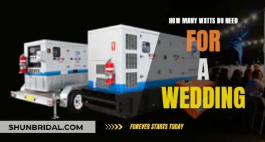 Watts Required for a Wedding: Planning Your Power Needs
