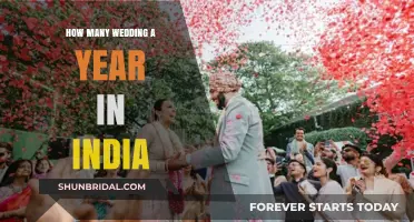 India's Annual Wedding Extravaganza: Counting the Big Fat Celebrations