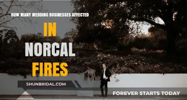 NorCal Fires' Impact: Wedding Businesses Face Uncertain Future