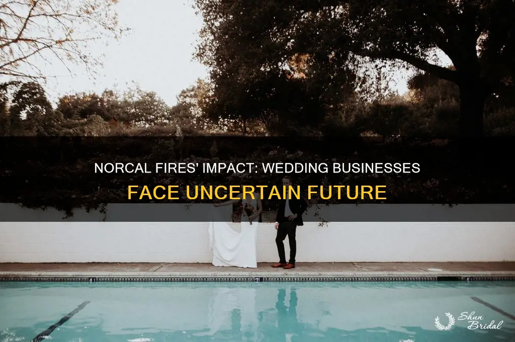 how many wedding businesses affected in norcal fires