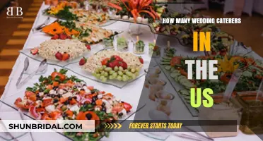 Exploring the Vast Number of Wedding Caterers Across the US
