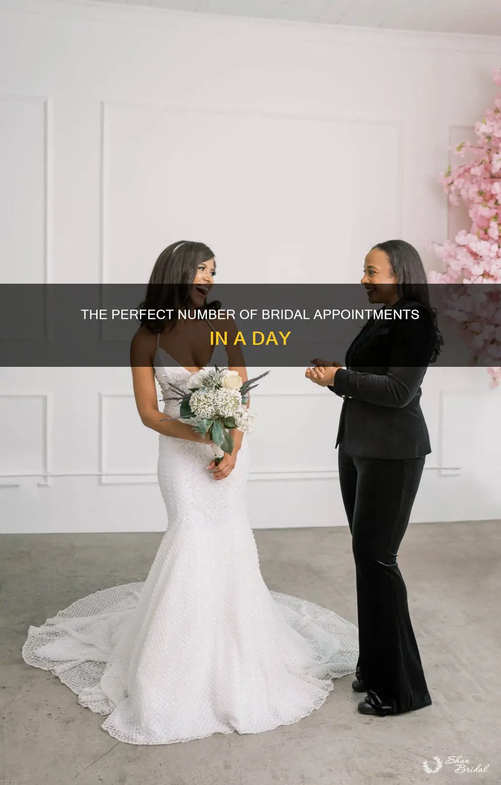 how many wedding dress bridal appointments in a day