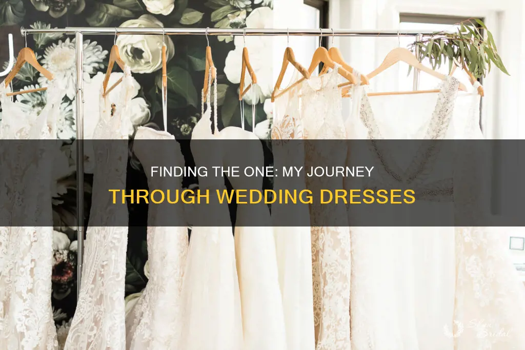how many wedding dressed you tried