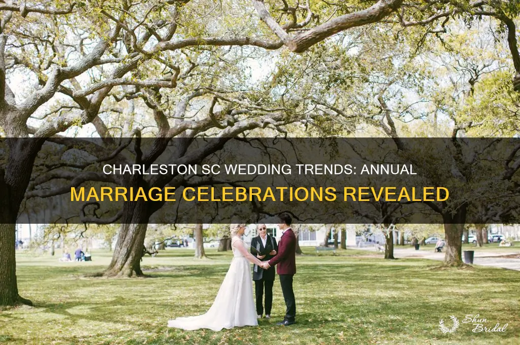 how many wedding per year in charleston sc