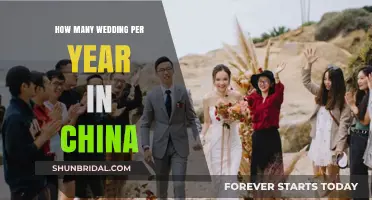 Annual Wedding Trends: China's Marriage Statistics and Insights