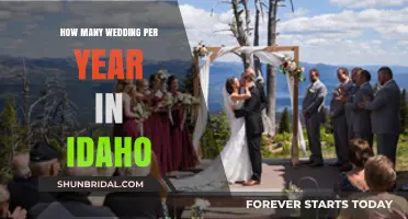 Idaho's Annual Wedding Count: A Surprising Number of Nuptials