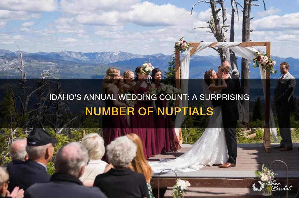 how many wedding per year in idaho