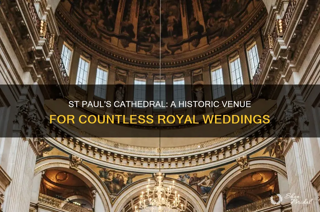 how many wedding performed in st paul