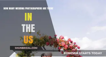 Exploring the US Wedding Photography Industry