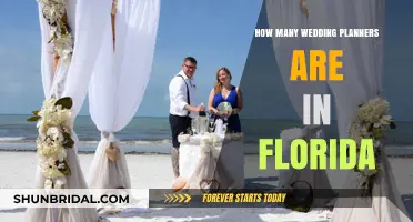 Florida's Wedding Planner Scene: Unveiling the Count and Competition